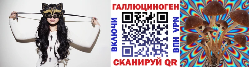 Псилоцибиновые грибы ЛСД  кракен сайт  Ахтубинск  где продают  