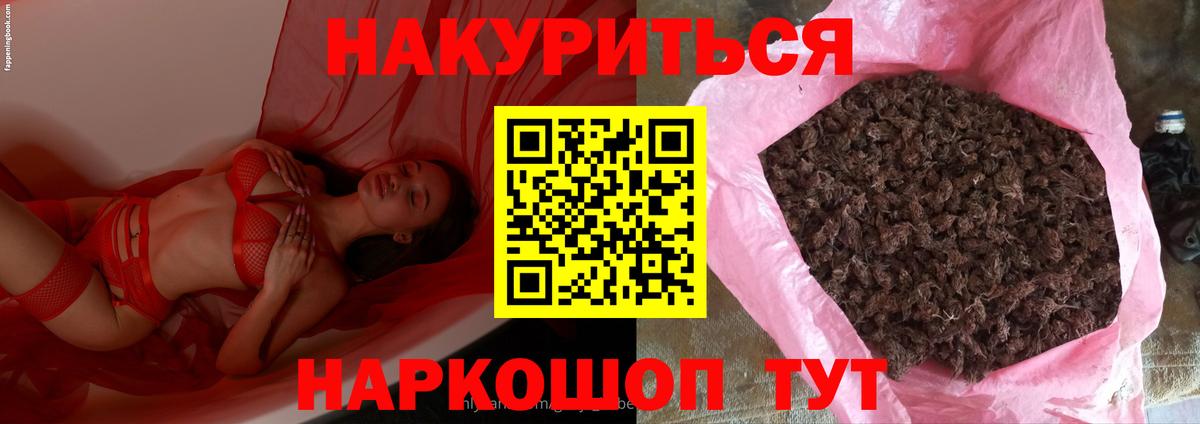 Бошки Шишки Amnesia Ахтубинск